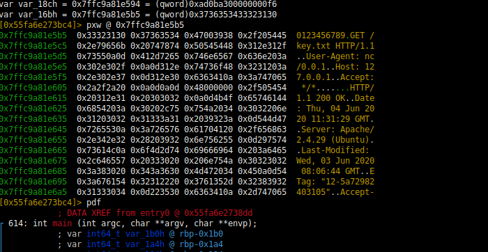 Reverse engineering x64 binaries with Radare2 - 16 - II (more sockets, http emulation, radasm, ragg and shellcode)