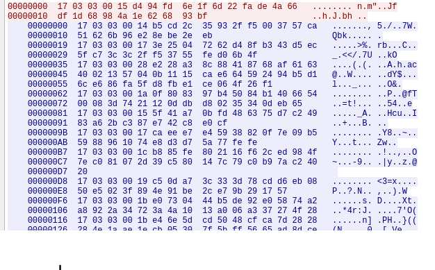 Reverse engineering x64 binaries with Radare2 - 19 (unix encrypted bind shells over TLS)